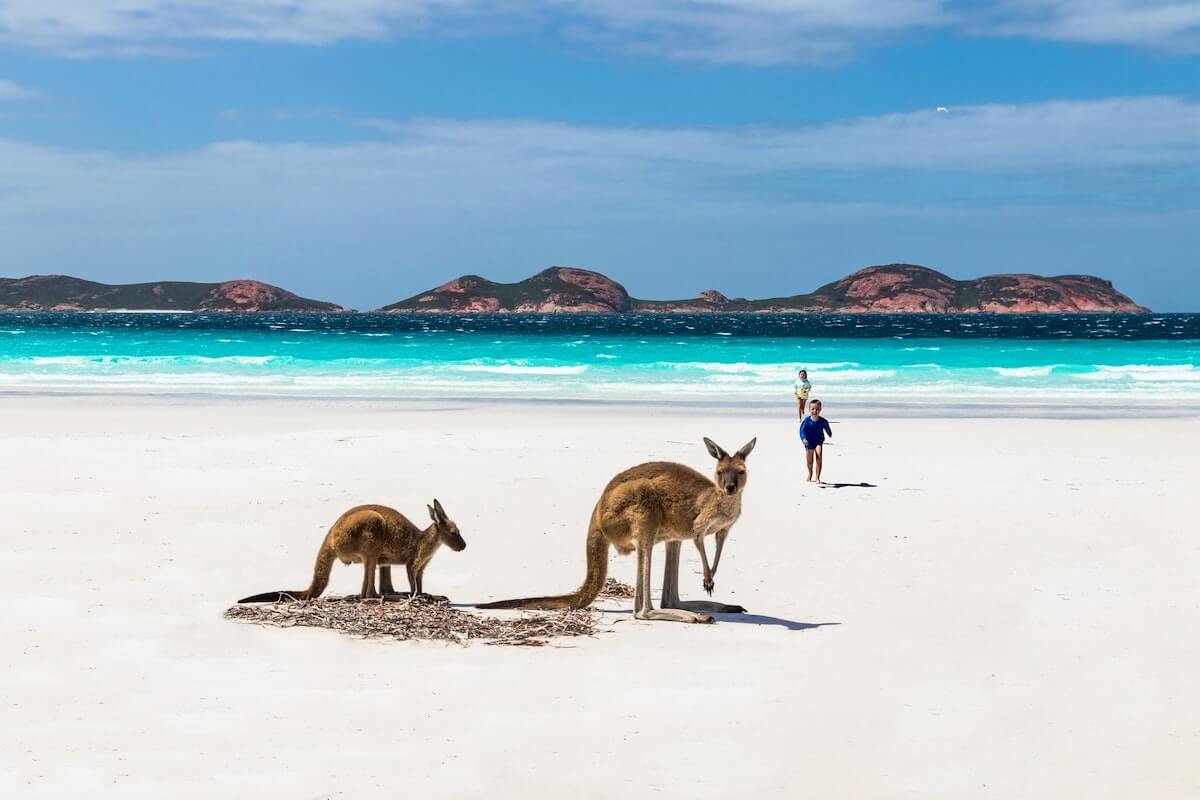 Best Places to Visit in Australia header image with two kangaroos on a beach with a small child running towards them from the ocean behind