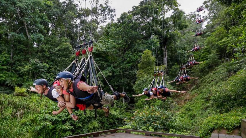 Minjin Swing, Cairns