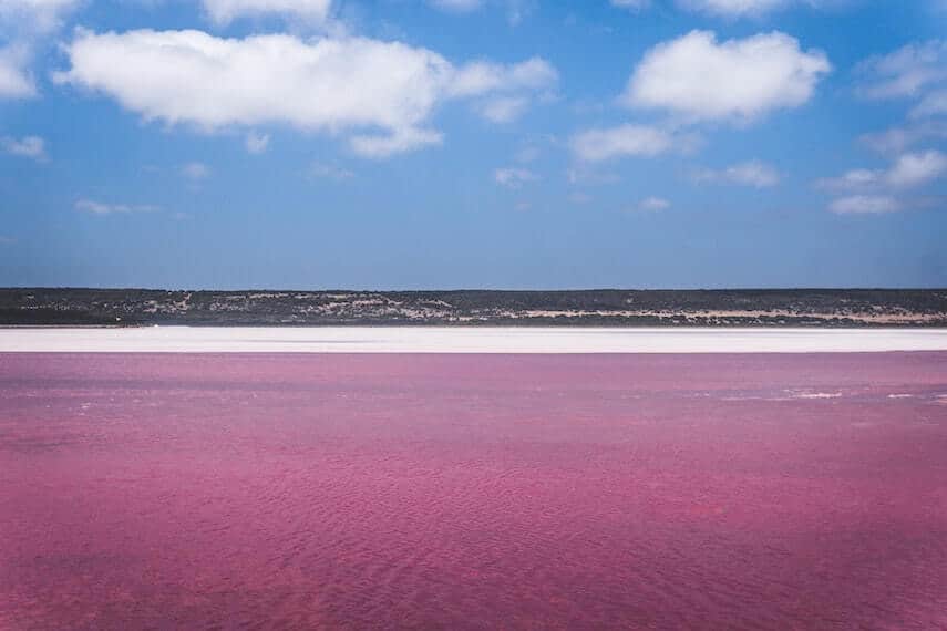 Pink Lake Hillier in WA