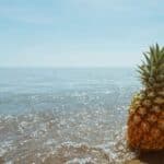50+ Quotes about Australia header image of a pineapple standing up on the beach with the ocean lapping around it's base