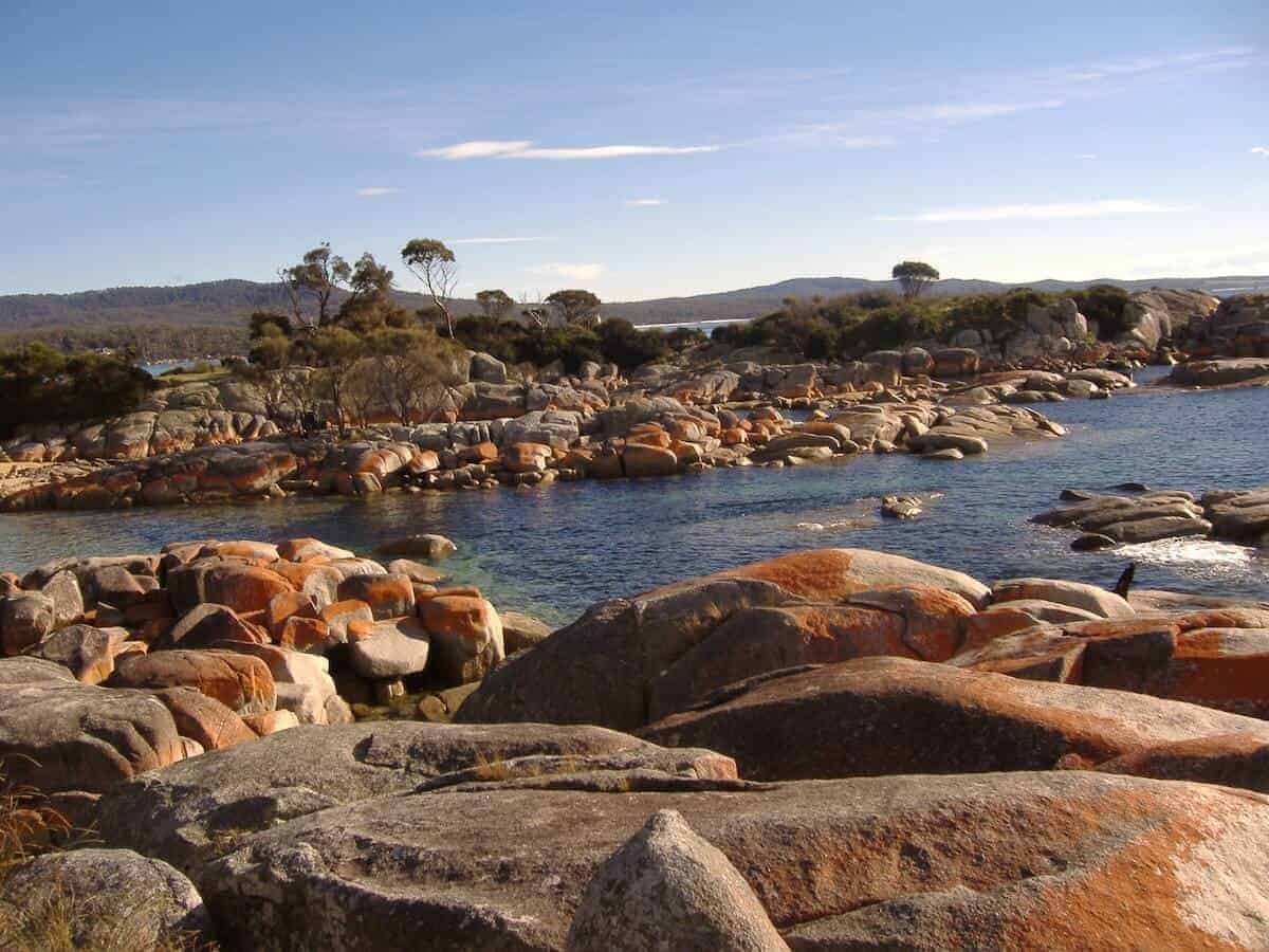Rocks around the ocean covered in swathes of red in the Bay of Fires Tasmania 