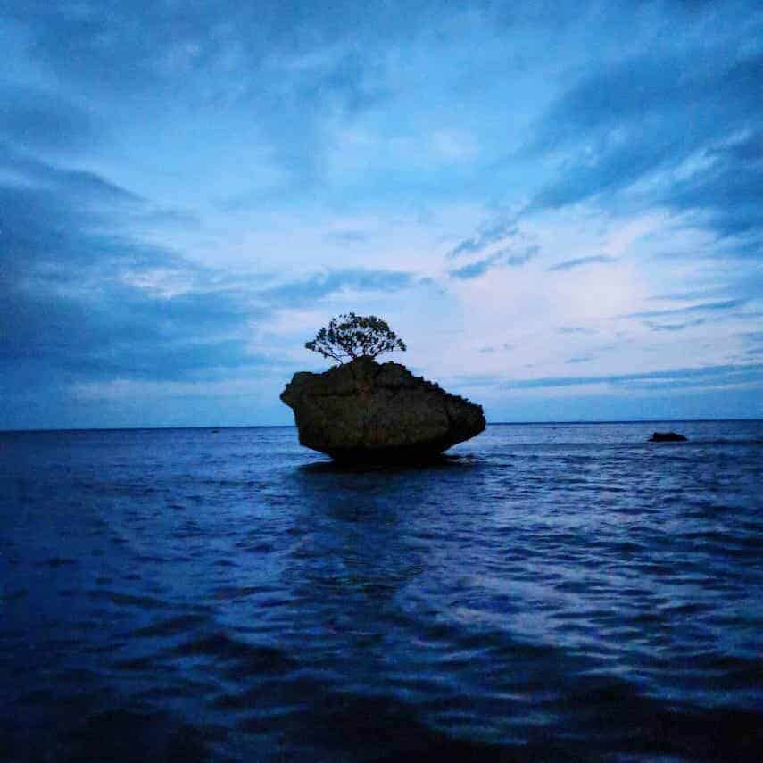 Flying Fish Cove on Christmas Island at blue hour 
