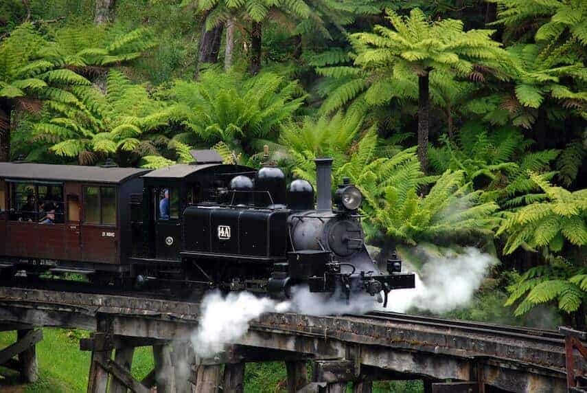 Old steam train pulling a wooden train carriage through lush green forest on a wooden raised track