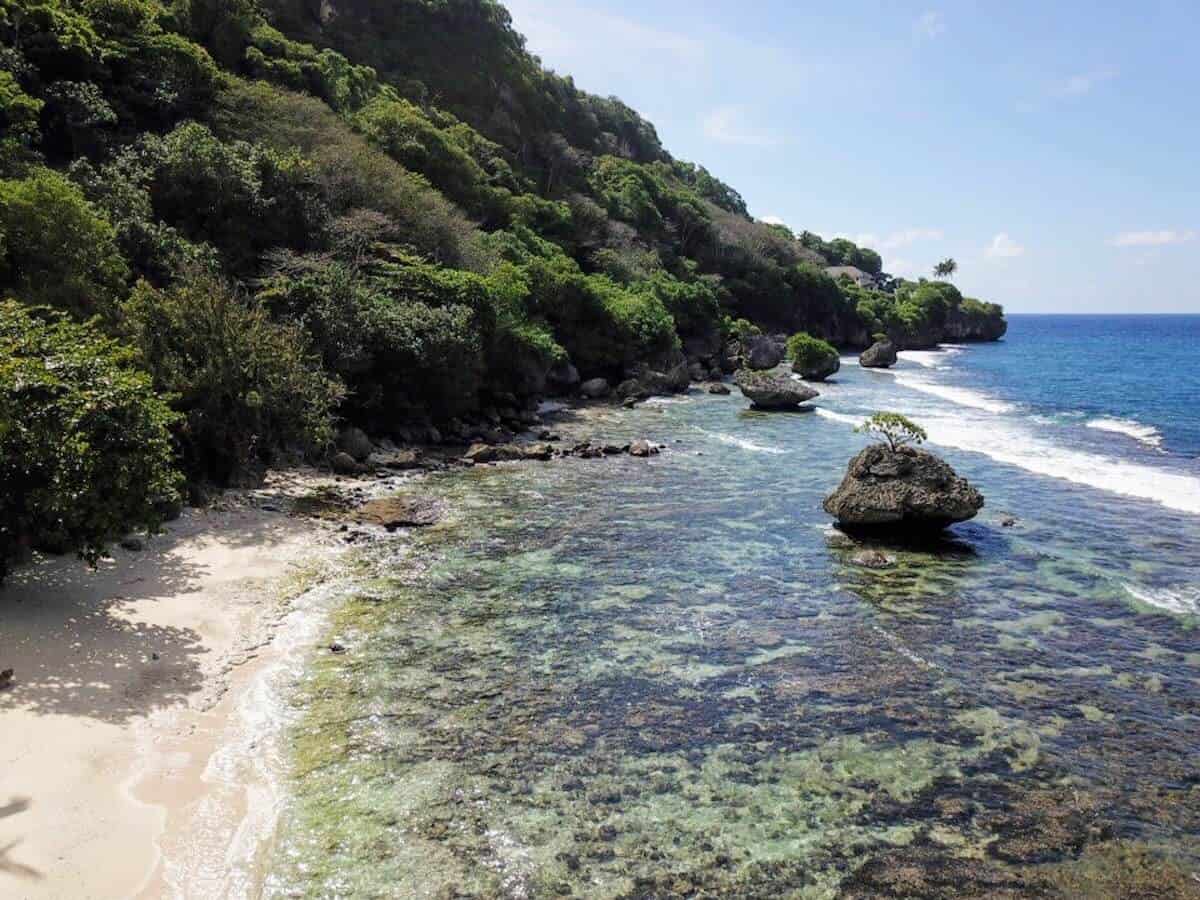 Travel to Christmas Island Australia header image of a curved coastline with light green ocean water with a green tree covered hillside and a single large rock standing in the shallow water on which there stands a lone tree