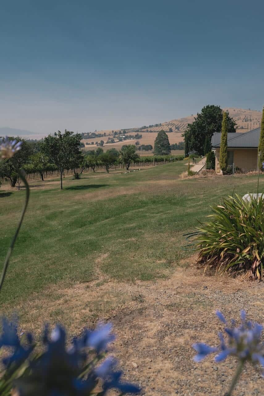 Single level building with vineyards and fields in the background in the Yarra Valley