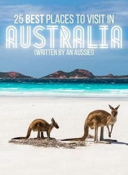 25 Best Places to Visit in Australia link image of two kangaroos on the beach with the ocean in the background