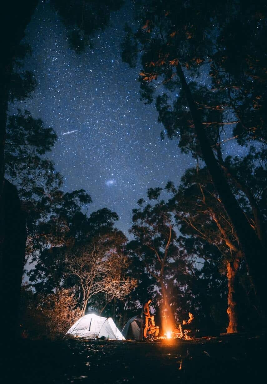 Australian camping in a forest under a starry sky