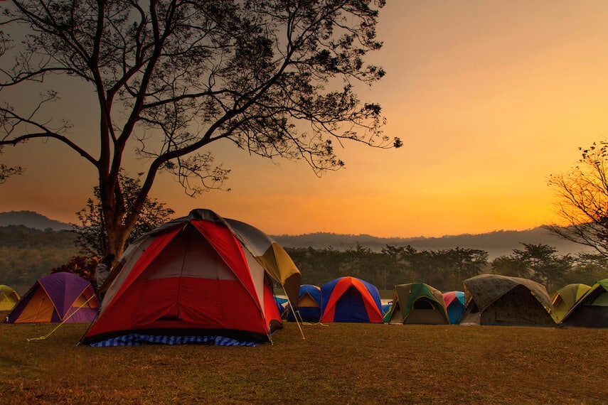 Tens lined up along the bank of a hill under a tree at sunset facing out into the valley