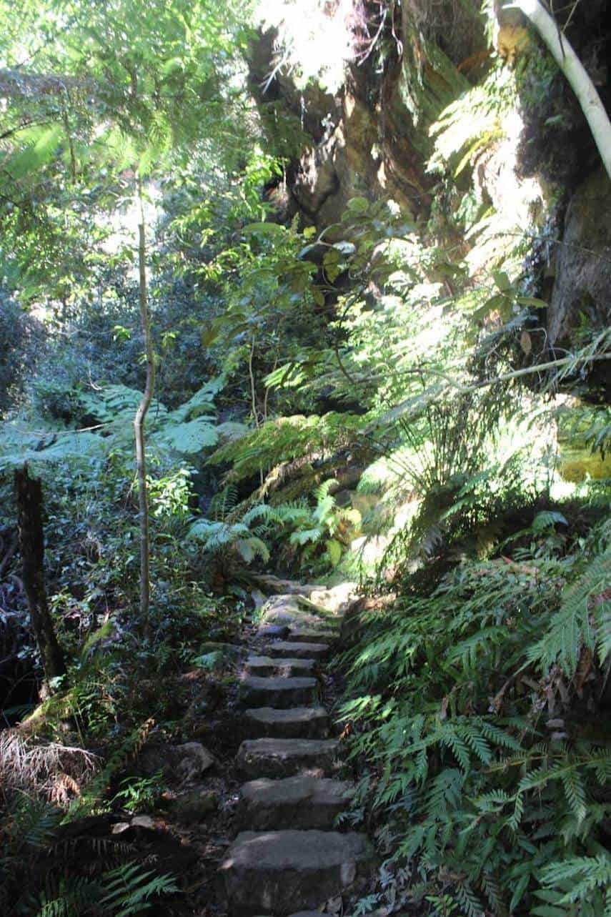 Hiking path in the Blue Mountains