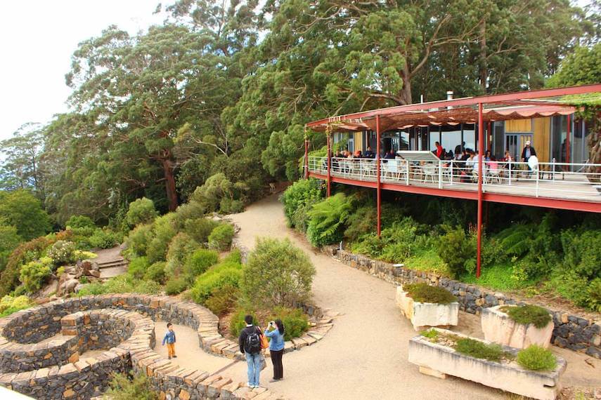 Mount Tomah Botanical Gardens