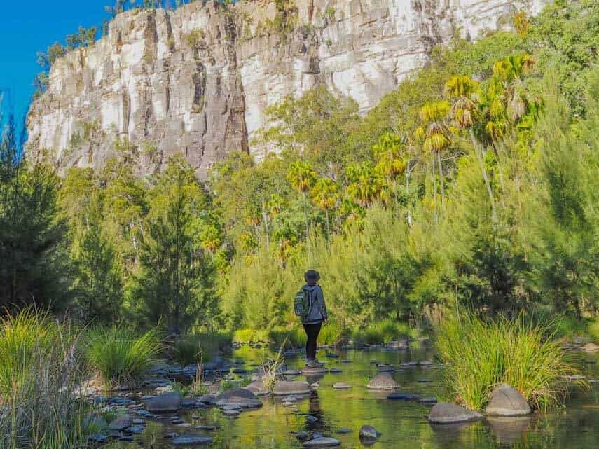 Woman standing in front of green shrubs in front of the rocky wall of Carnarvon Gorge in Outback QLD