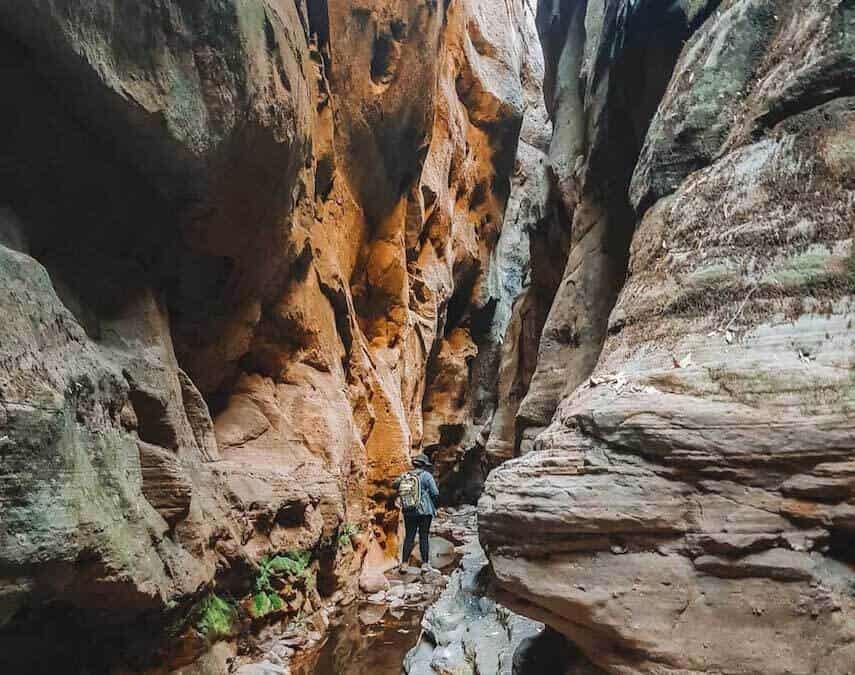 Carnarvon Gorge in Outback QLD