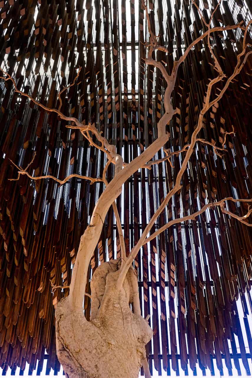 Tree of Knowledge in Barcaldine, Outback Queensland