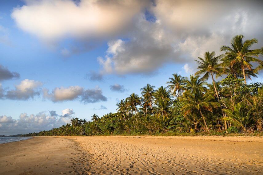 Long expanse of yellow sand, lined with palm trees