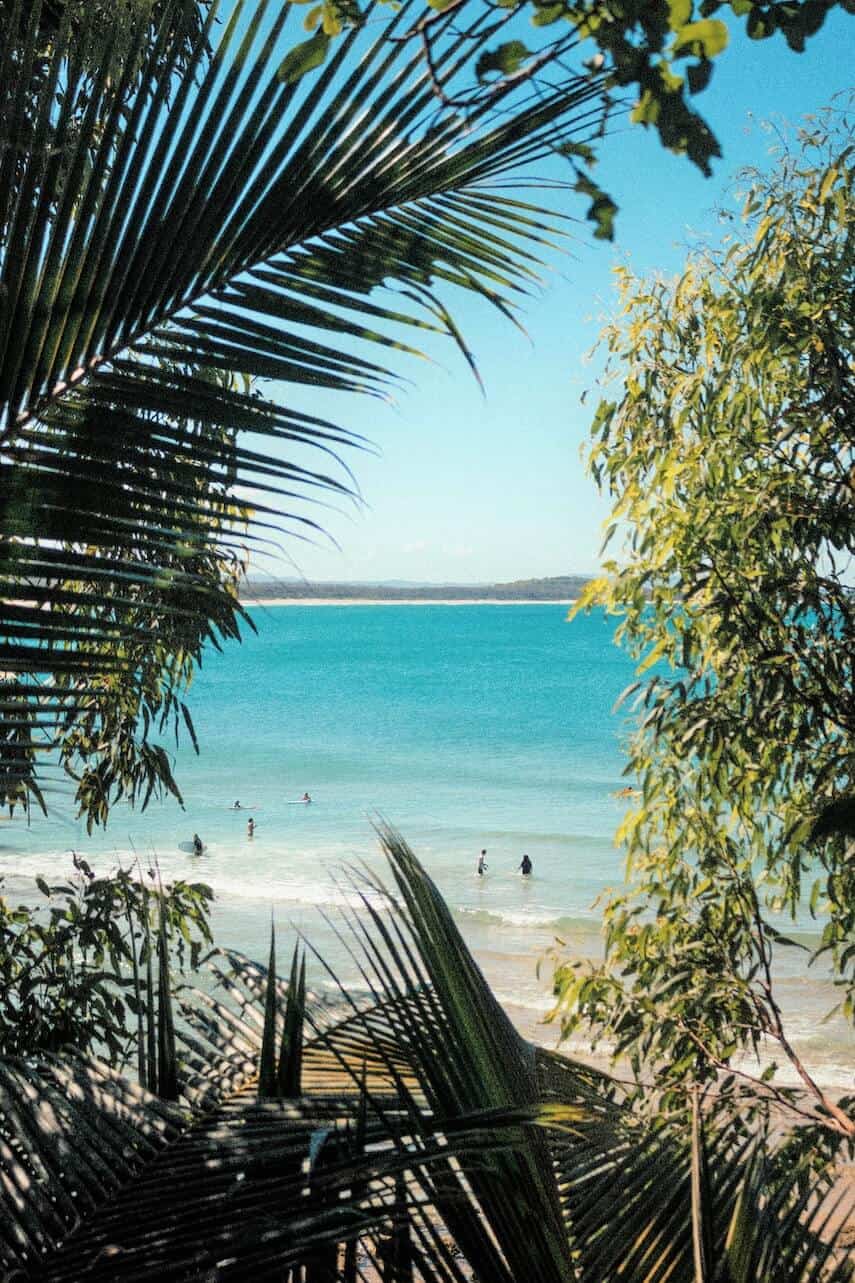 Noosa Heads Beach framed by palm trees, the shoreline in the background with people paddling and people sitting on surfboards in the small waves
