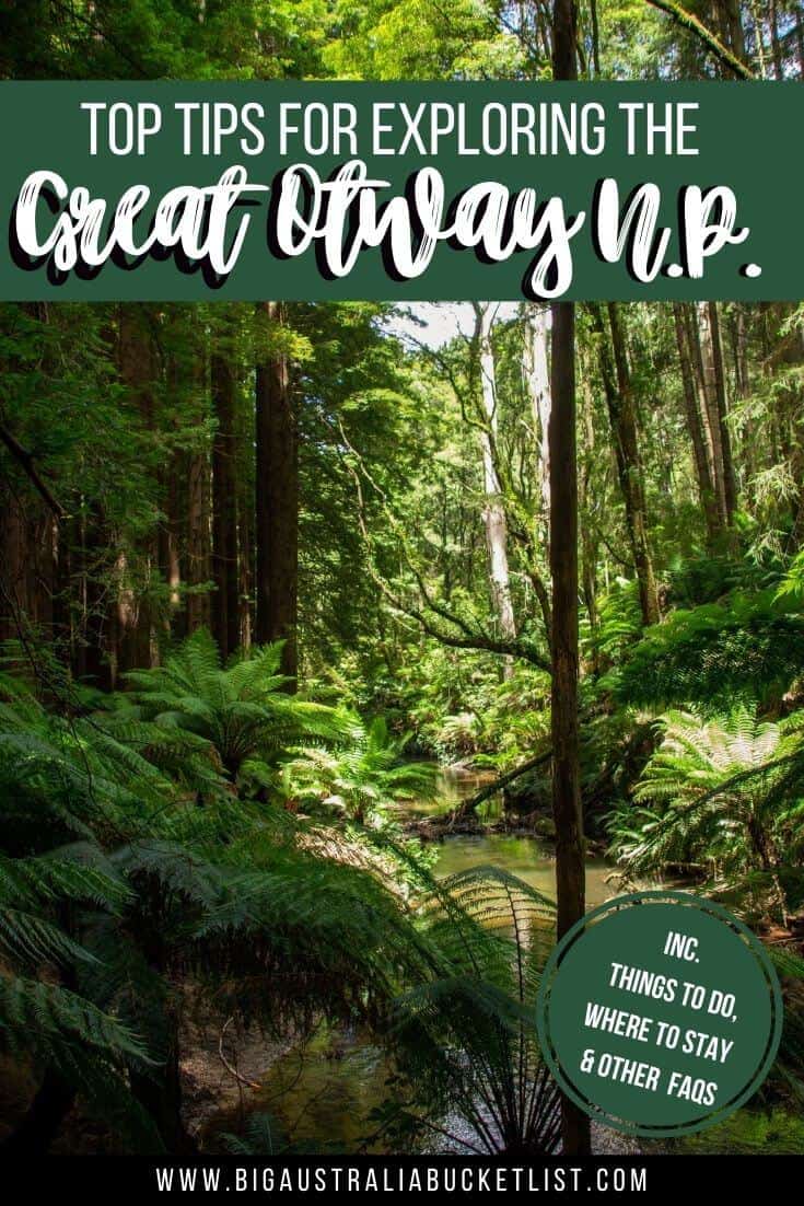 How to Explore the Great Otway National Park