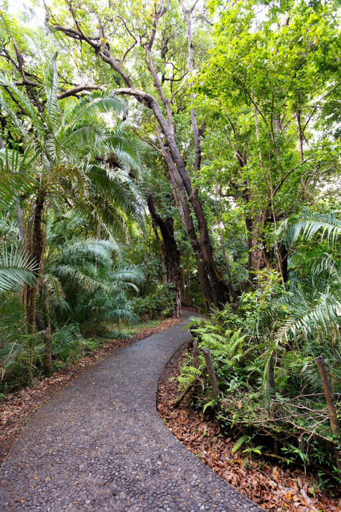 Top Tips For Exploring The Great Otway National Park Big Australia Bucket List