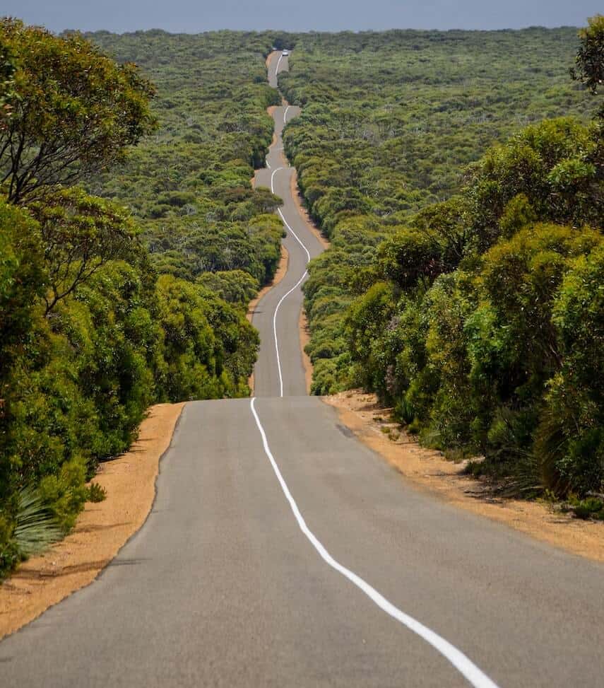 Picturesque road winding through the lush green landscape