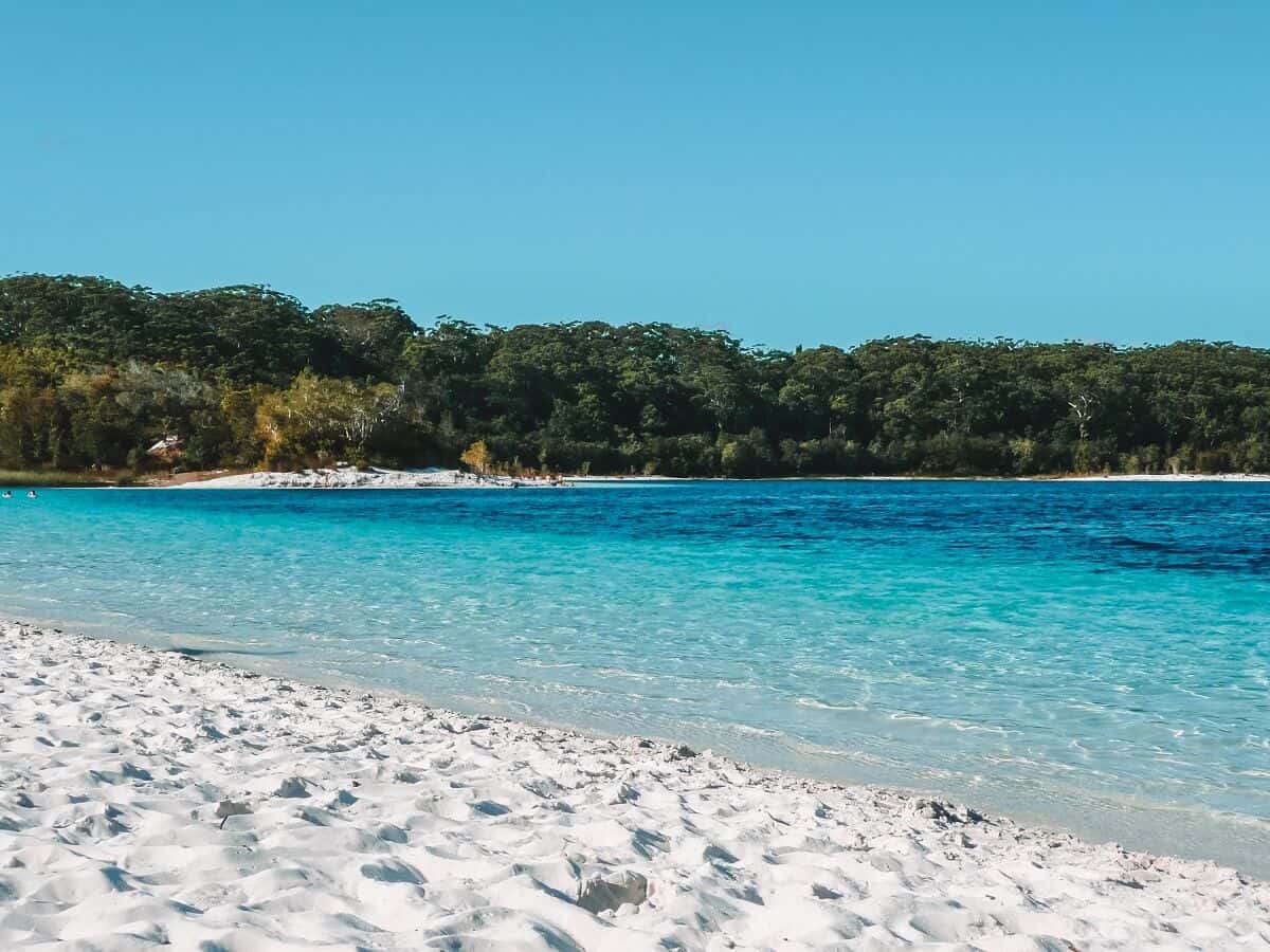 Fraser Island at Lake McKenzie, Queensland